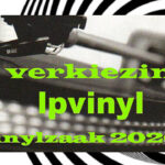 verkiezing lpvinyl vinylzaak 2020 De Platenzaak - vinyl and more | Eindhoven Geldropseweg 86A Instagram @deplatenzaak_eindhoven muziek music
